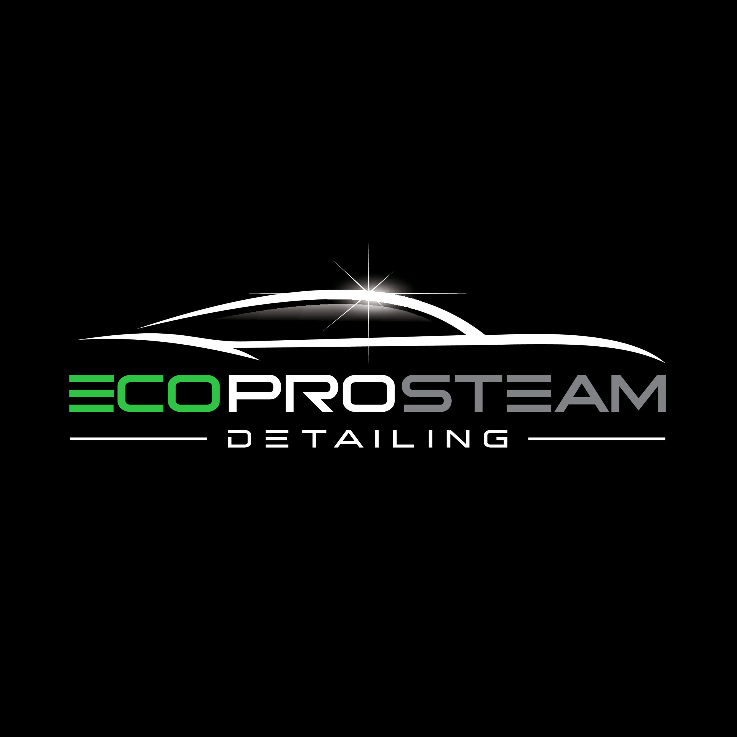 Eco Pro Steam Detailing ECOFRIENDLY STEAM CLEANING FOR YOUR VEHICLE